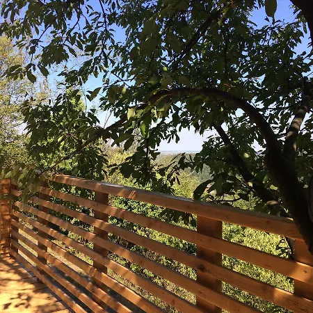 Parco Del Grep